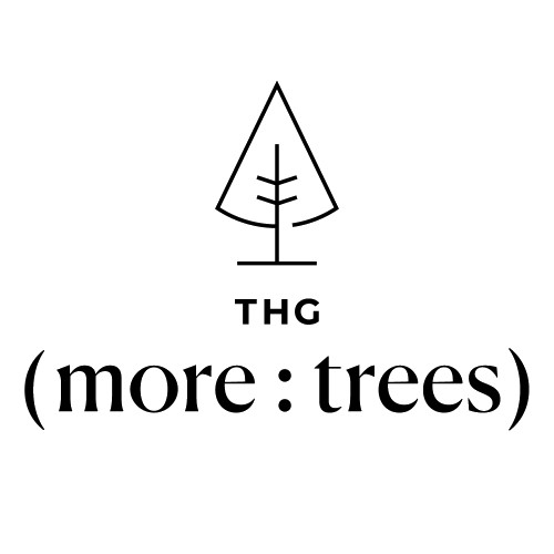 More tree logo - Monefi Our Promise